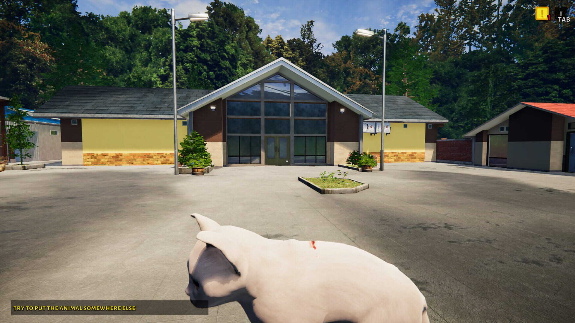 Screenshot for Animal Shelter Simulator: Puppies & Kittens