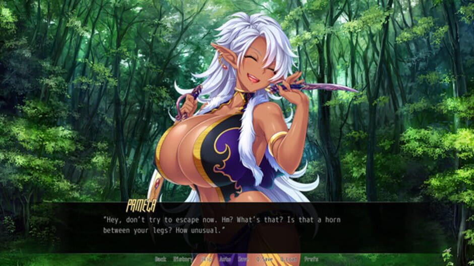 Screenshot for Hot & Steamy Knights