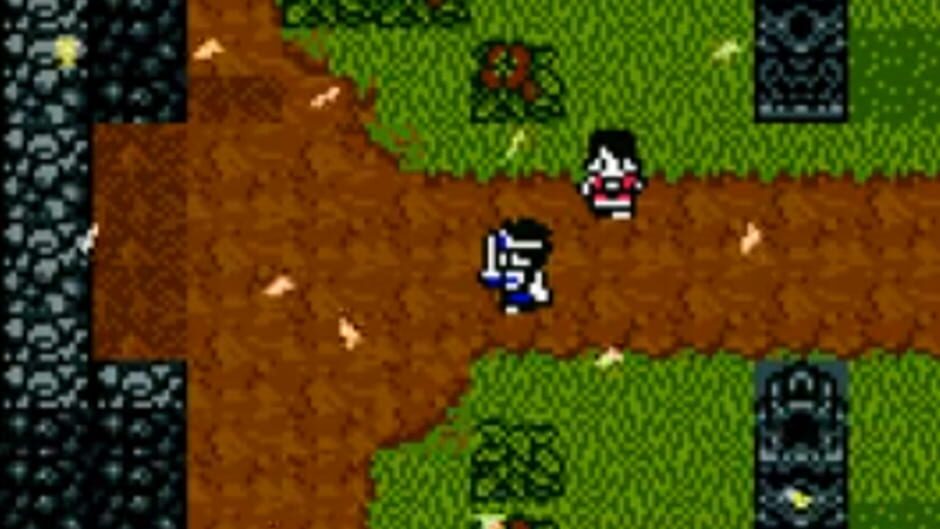 Screenshot for Dragon Warrior III