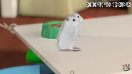 Screenshot for Petz Hamsterz Bunch