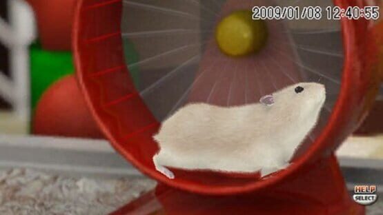 Screenshot for Petz Hamsterz Bunch