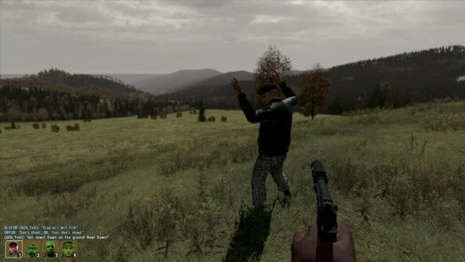 Screenshot for Arma 2: Combined Operations