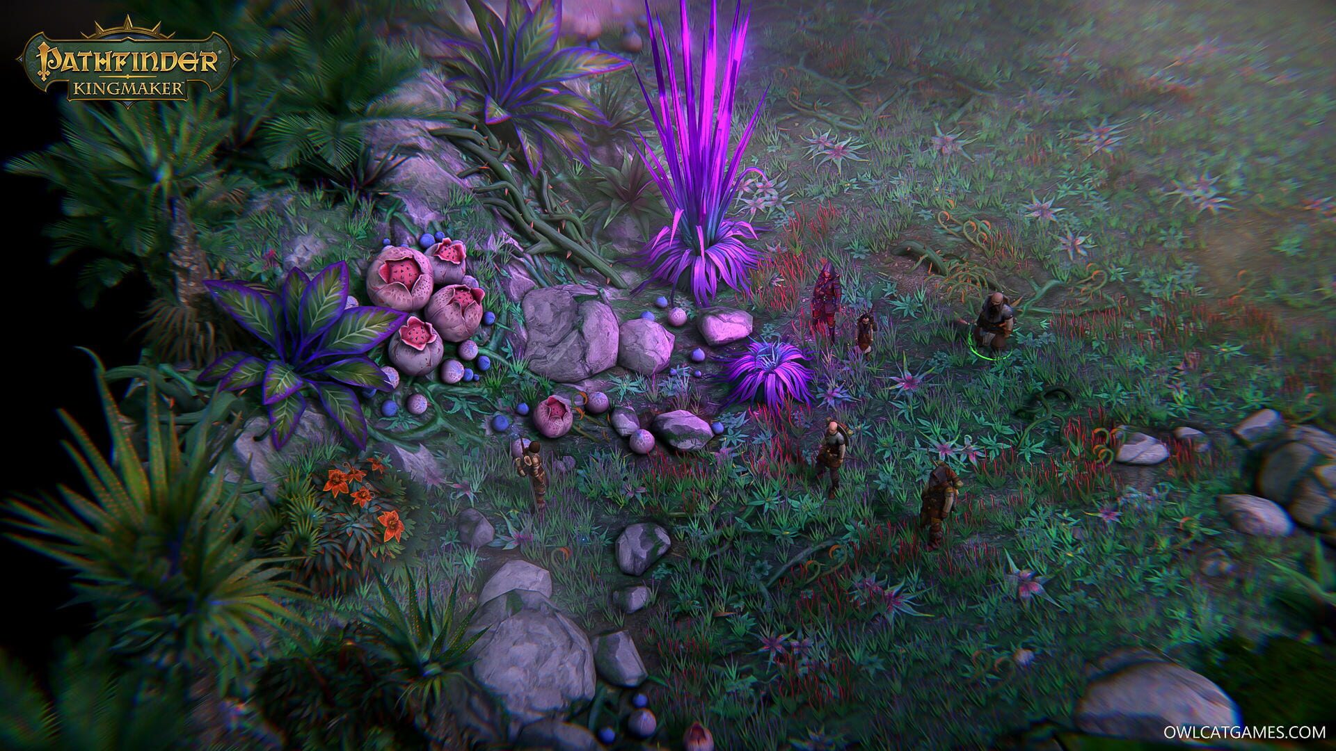 Screenshot for Pathfinder: Kingmaker