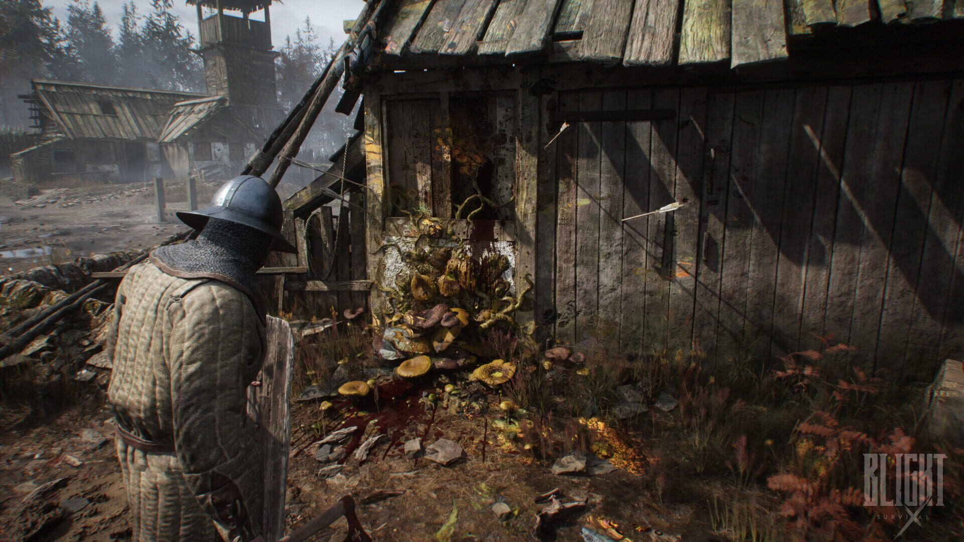 Screenshot for Blight: Survival