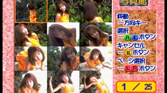 Screenshot for Private Idol Disc Vol. 9: Nagamatsu Keiko