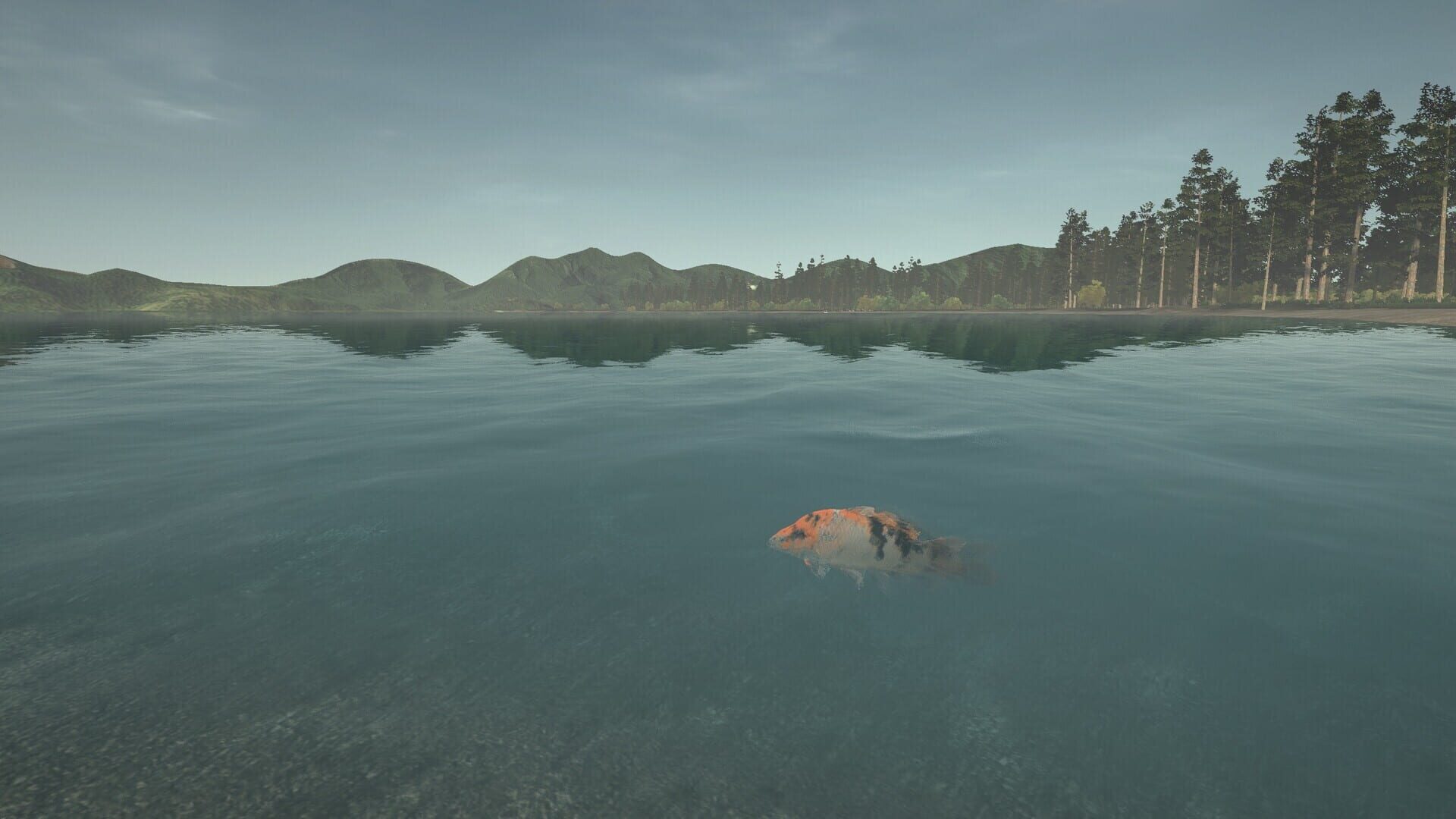 Screenshot for Ultimate Fishing Simulator: Taupo Lake
