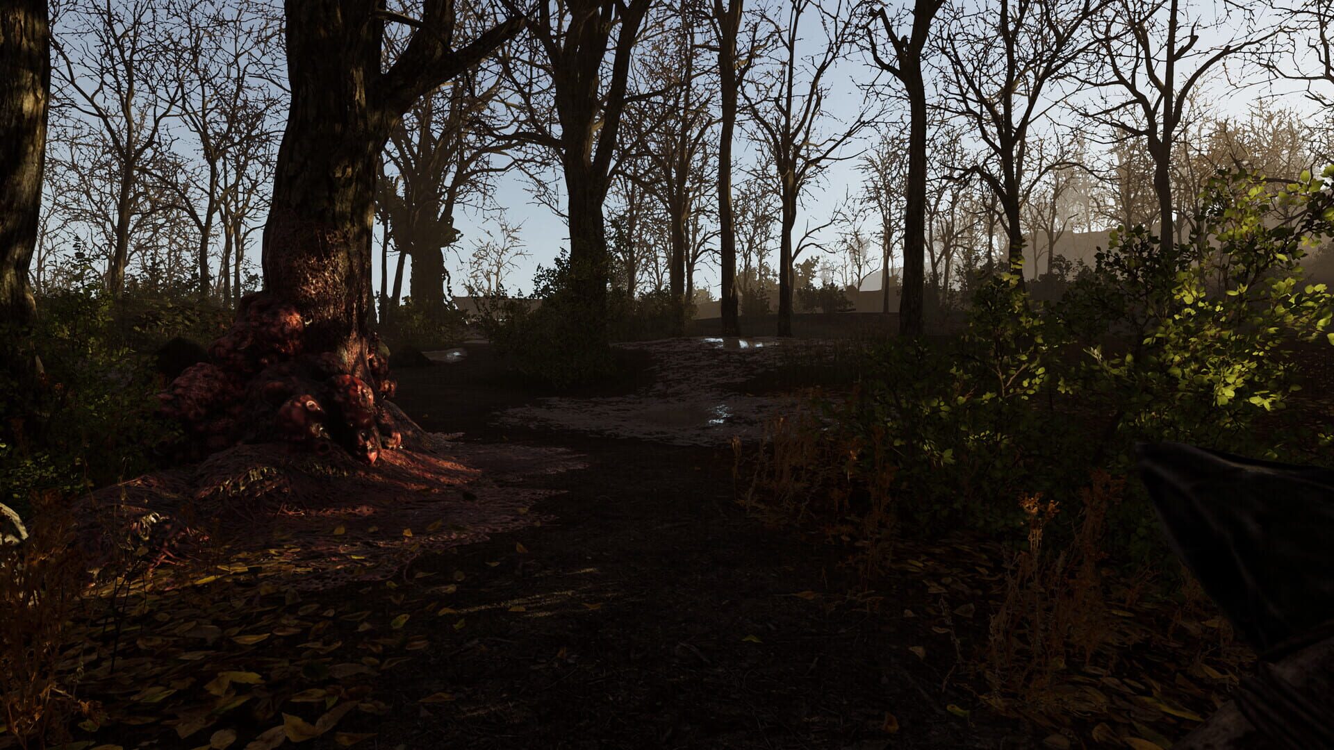 Screenshot for Vorax