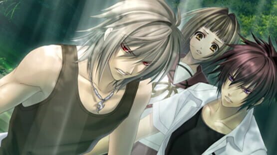 Screenshot for Soukoku no Kusabi Hiiro no Kakera 3 Portable