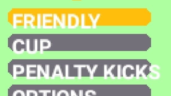 Screenshot for Real Soccer 2008