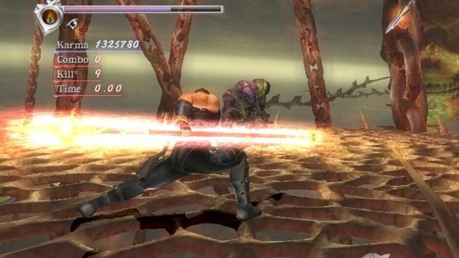 Screenshot for Ninja Gaiden Hurricane Pack II
