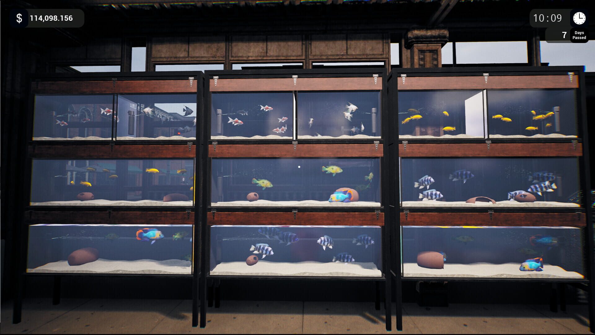Screenshot for Exotica: Petshop Simulator