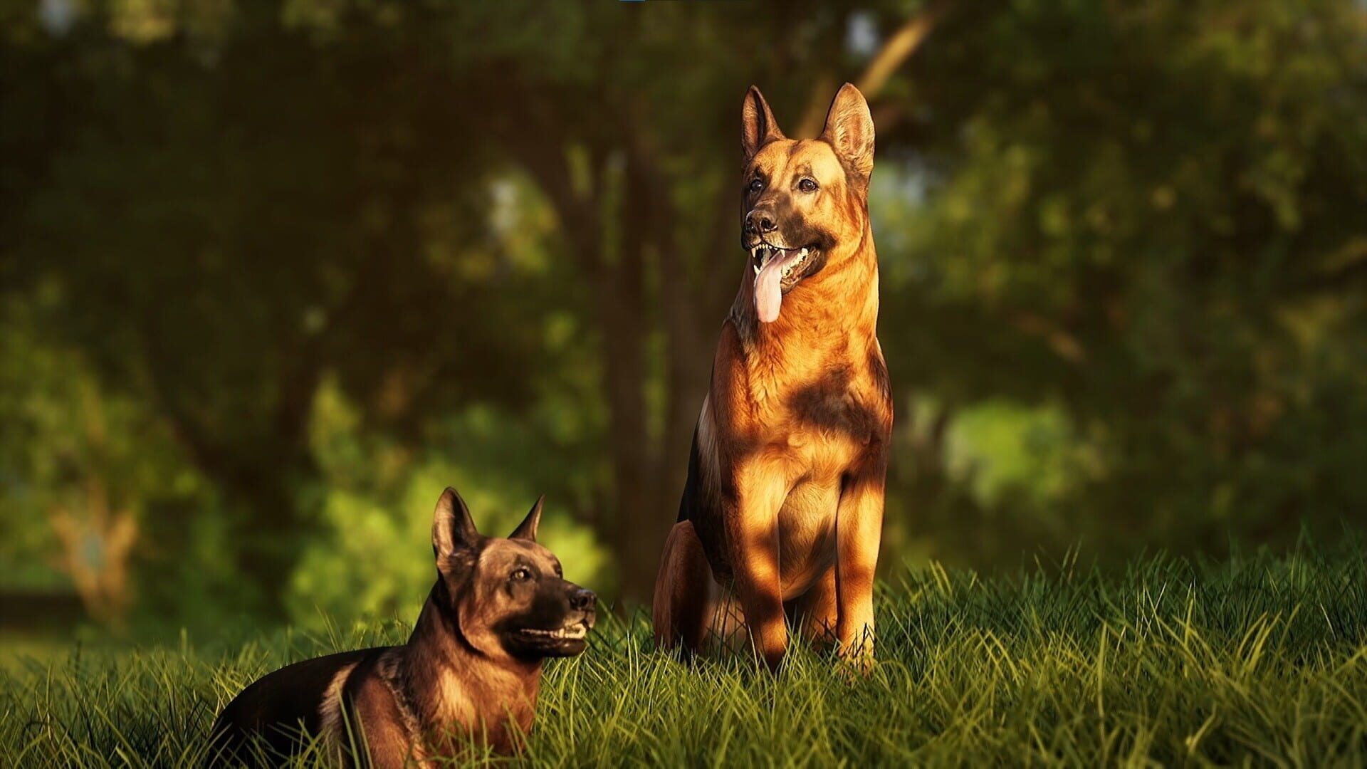 Screenshot for Photography Simulator