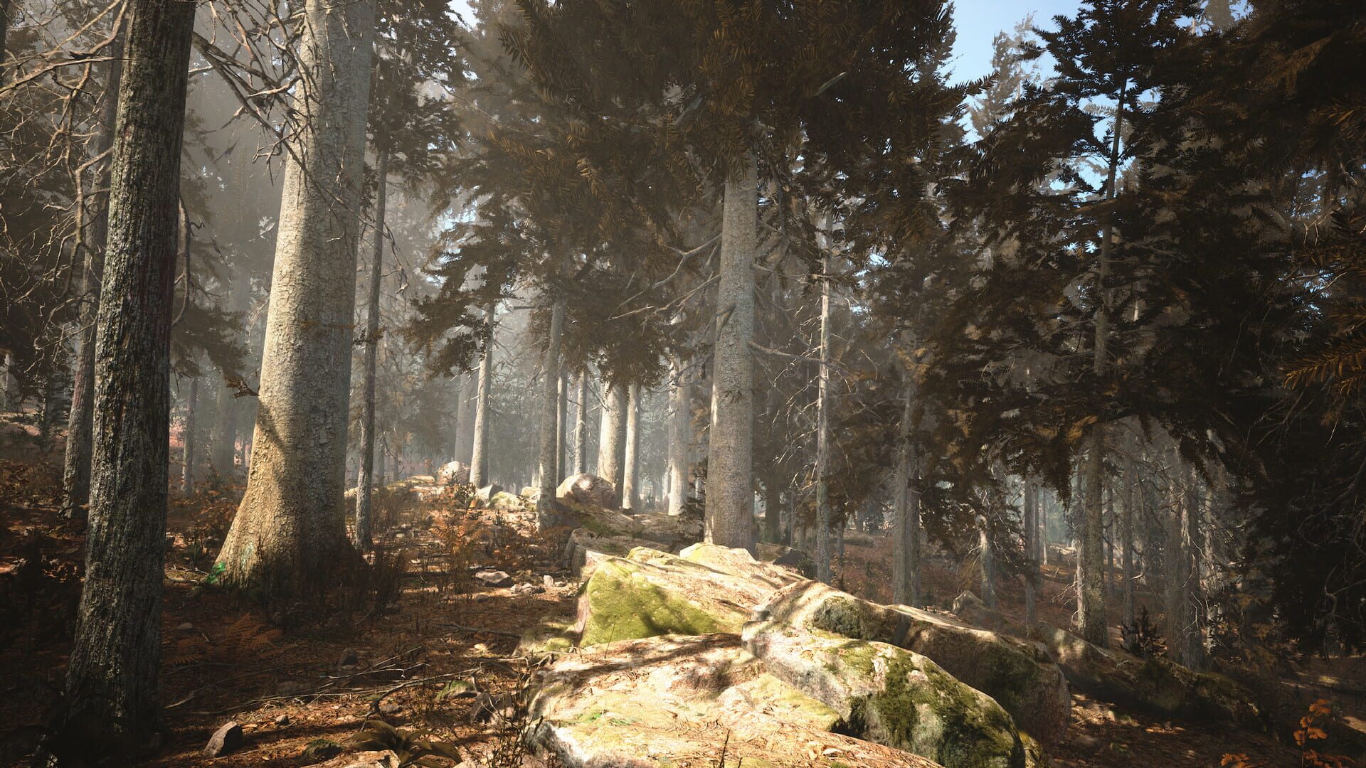 Screenshot for Photography Simulator