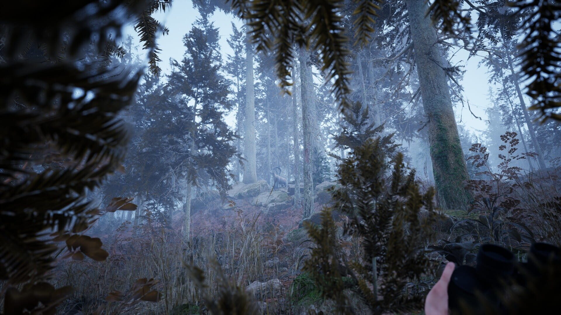 Screenshot for Photography Simulator