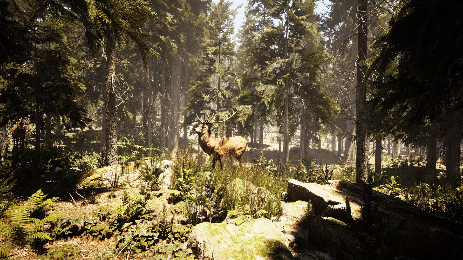 Screenshot for Photography Simulator