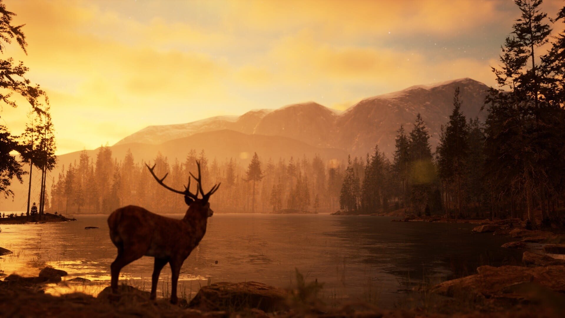 Screenshot for Photography Simulator