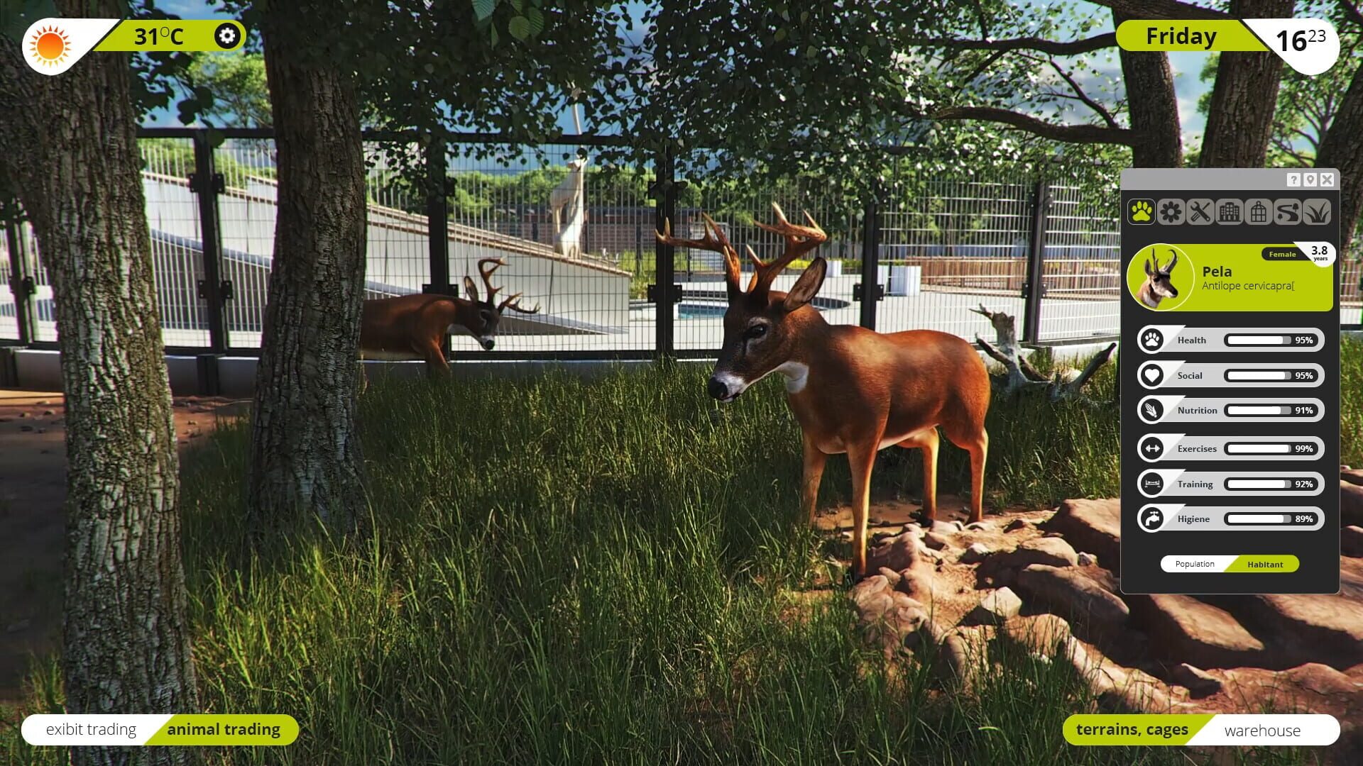 Screenshot for Zoo Simulator