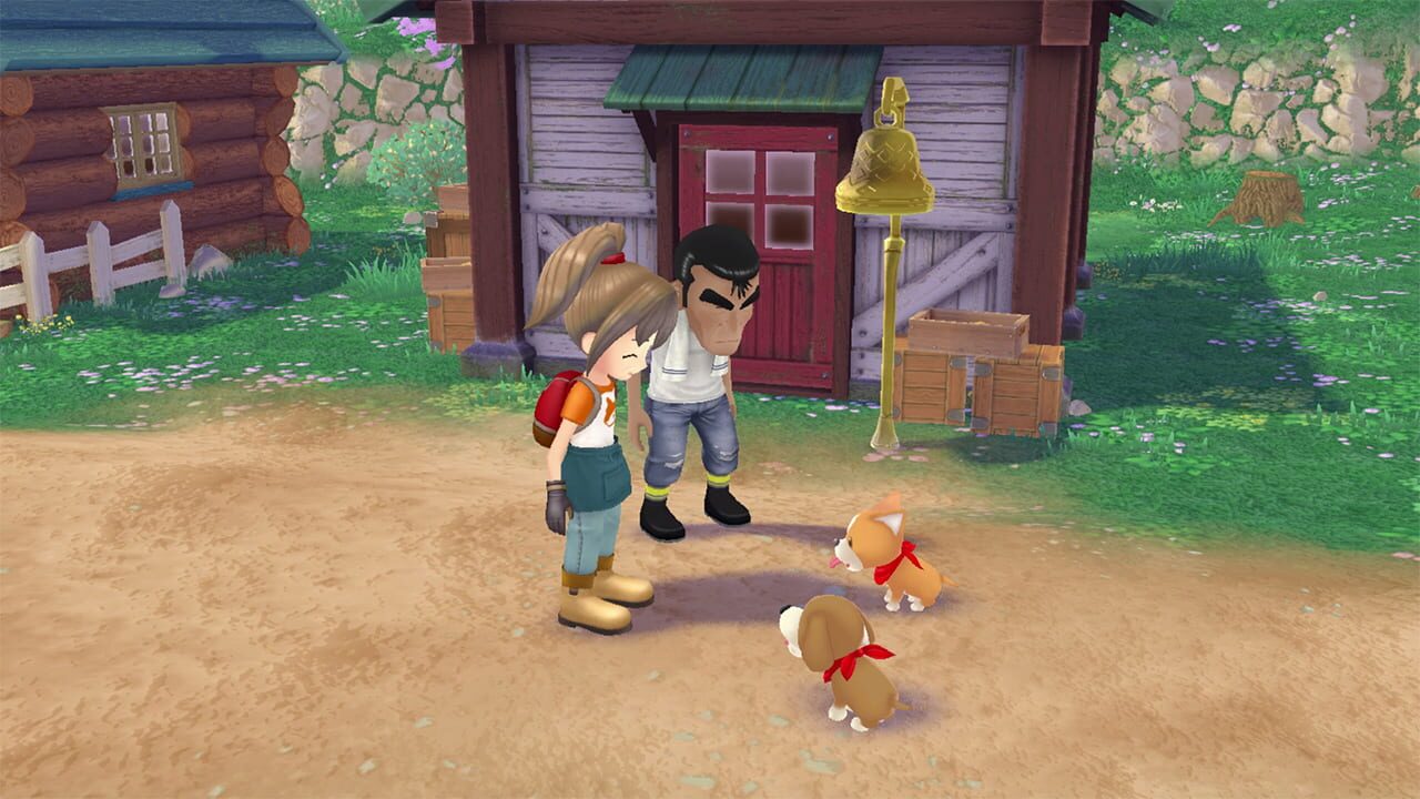 Screenshot for Story of Seasons: A Wonderful Life
