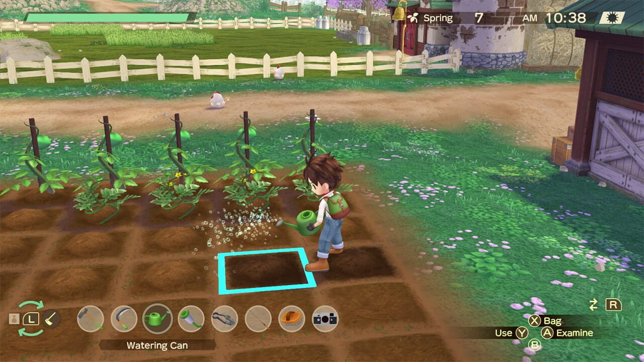 Screenshot for Story of Seasons: A Wonderful Life