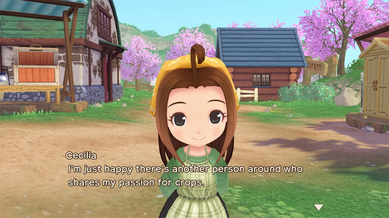 Screenshot for Story of Seasons: A Wonderful Life