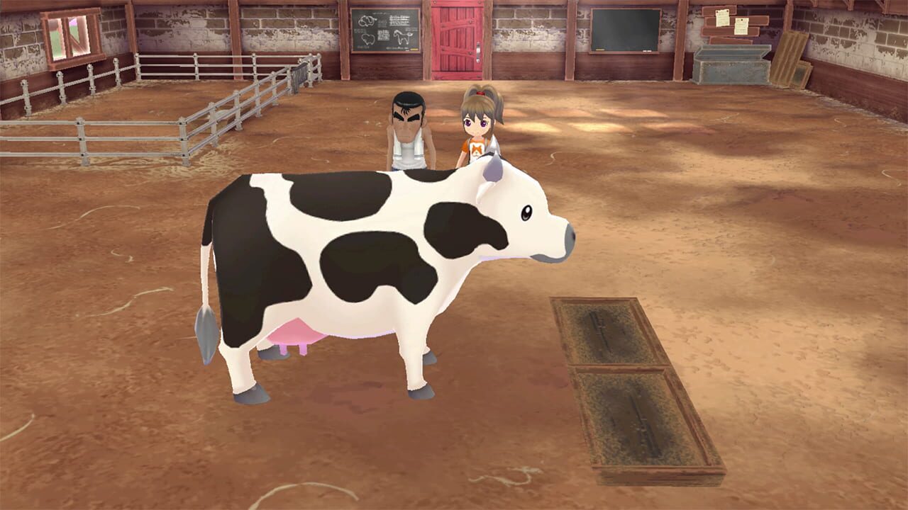 Screenshot for Story of Seasons: A Wonderful Life