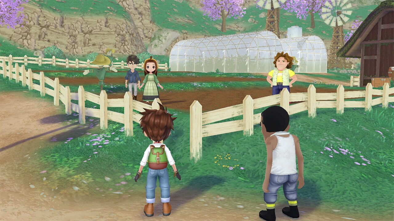 Screenshot for Story of Seasons: A Wonderful Life