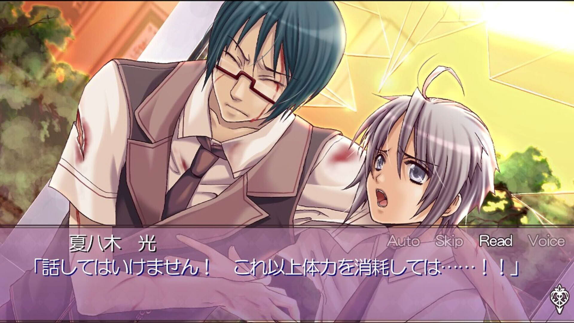Screenshot for Himehibi: Princess Days
