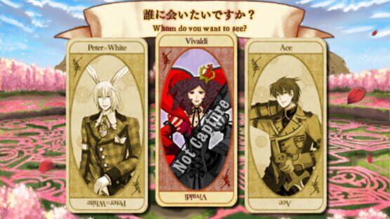 Screenshot for Joker no Kuni no Alice: Wonderful Wonder World