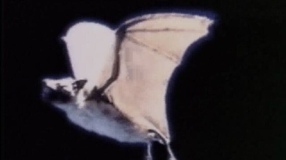 Screenshot for Terror TRAX: Track of the Vampire