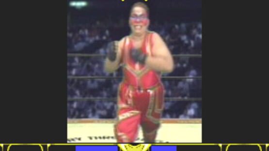 Screenshot for Zen-Nippon Joshi Pro Wrestling: Queen of Queens