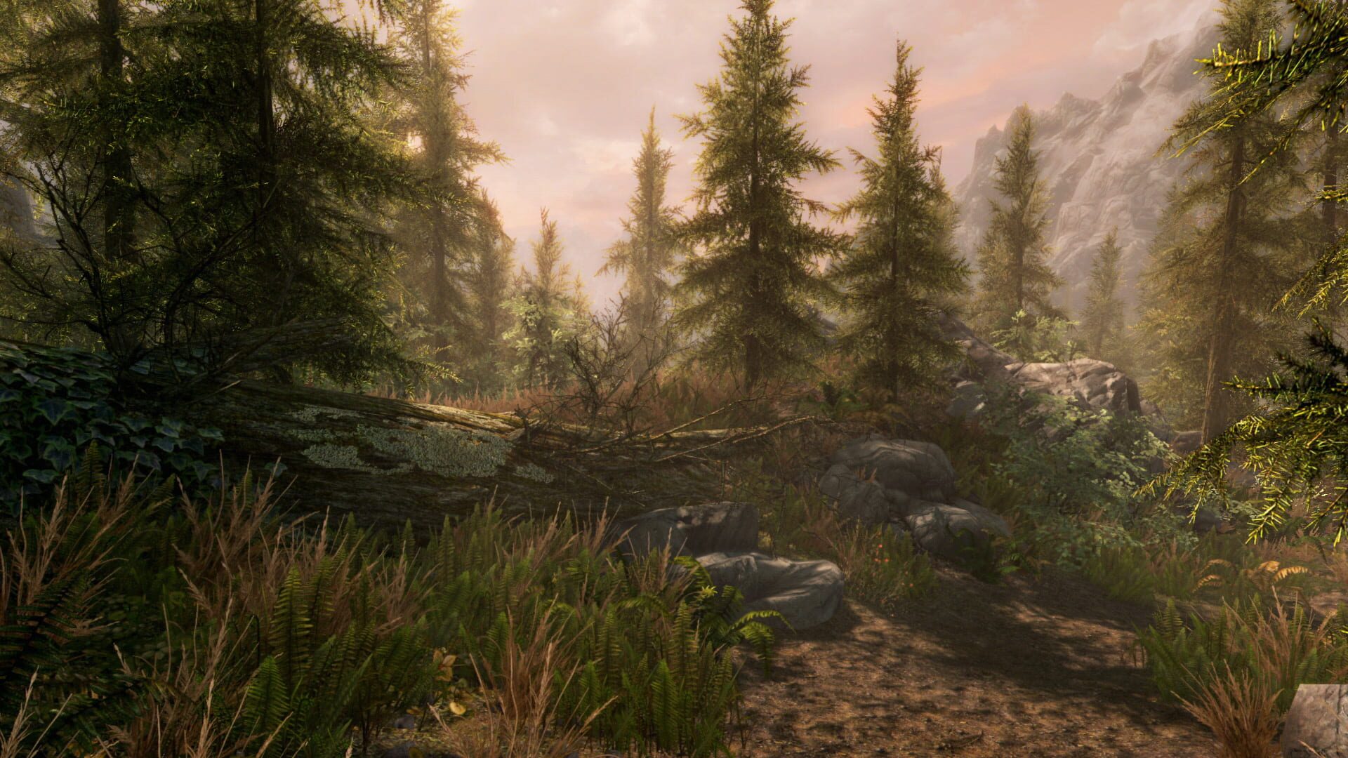 Screenshot for The Elder Scrolls V: Skyrim - Anniversary Edition
