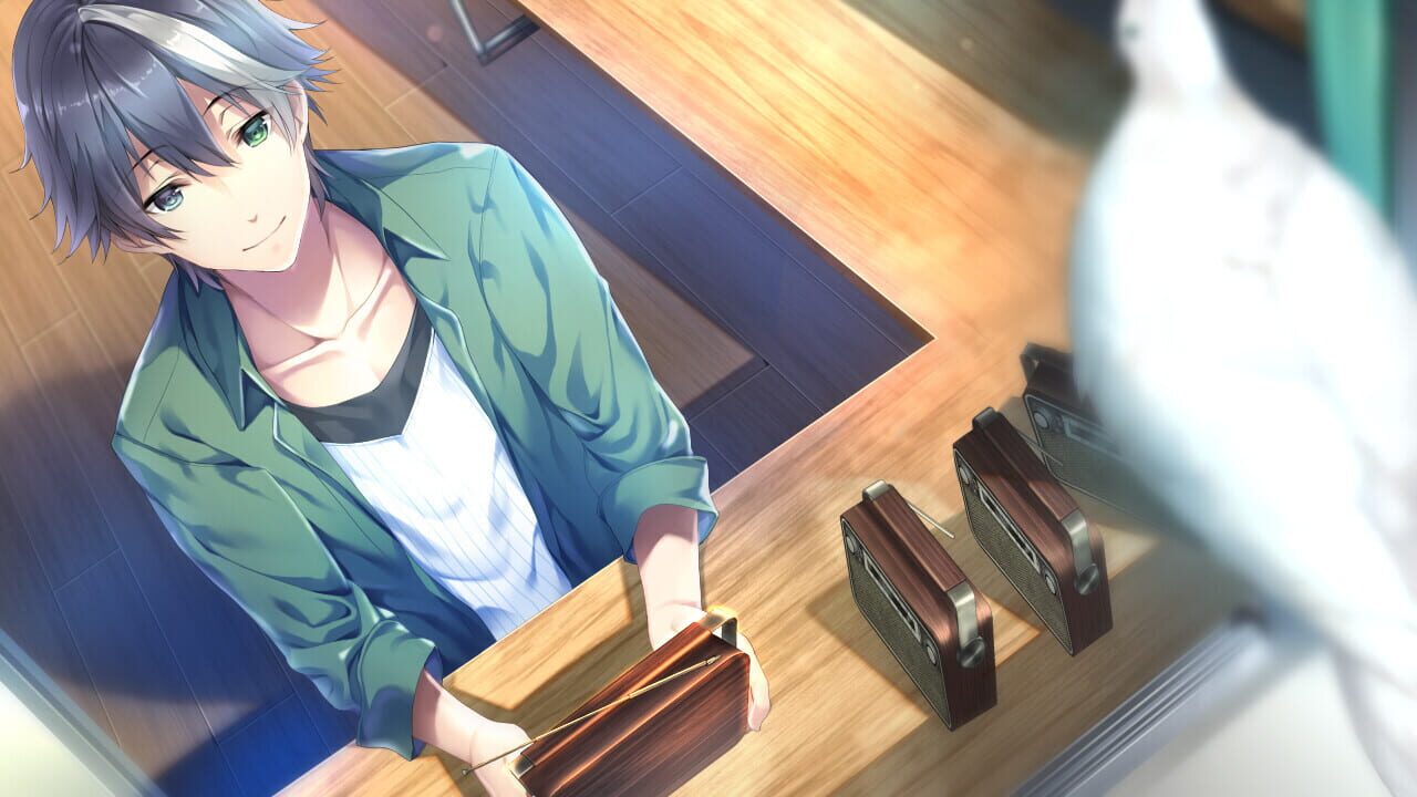 Screenshot for The Future Radio and the Artificial Pigeons
