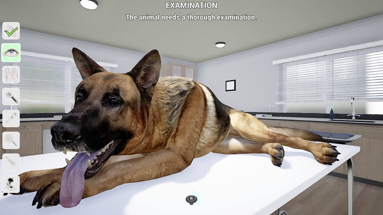 Screenshot for My Life: Pet Vet