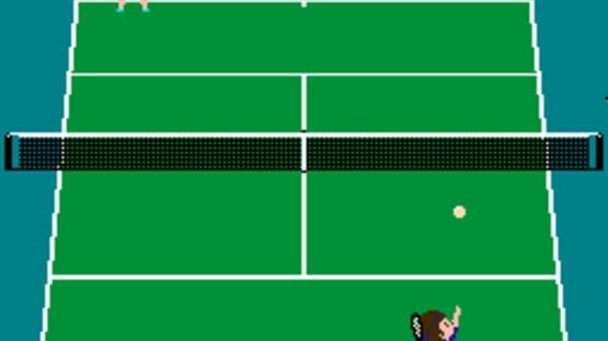 Screenshot for Family Tennis