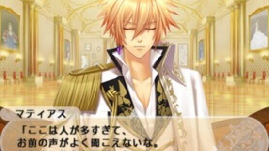 Screenshot for Beast Master and Prince: Snow Bride