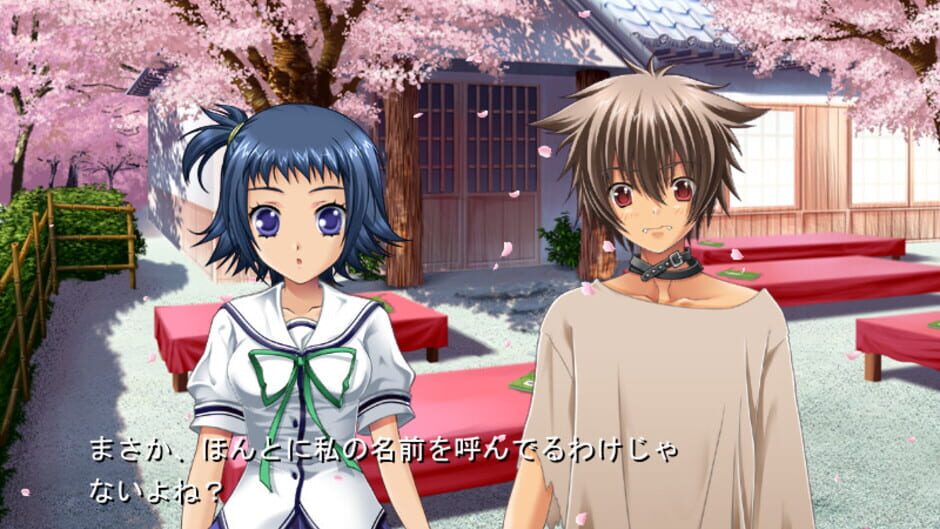 Screenshot for D.C. Girl's Symphony