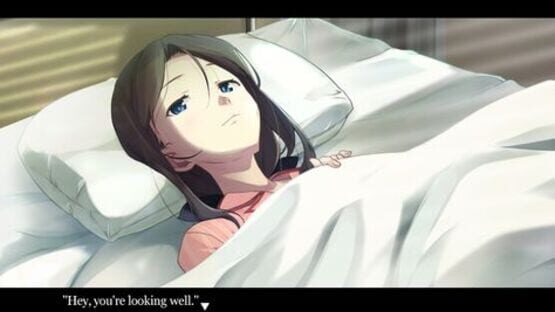 Screenshot for Narcissu: Himeko's Epilogue