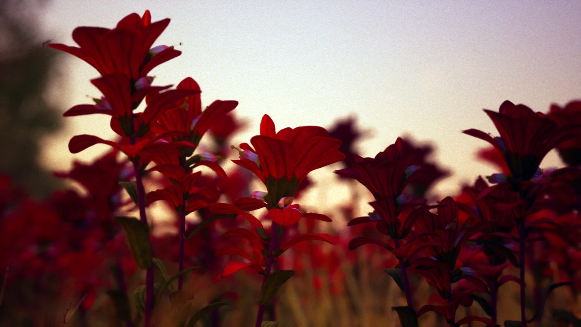 Screenshot for Petals
