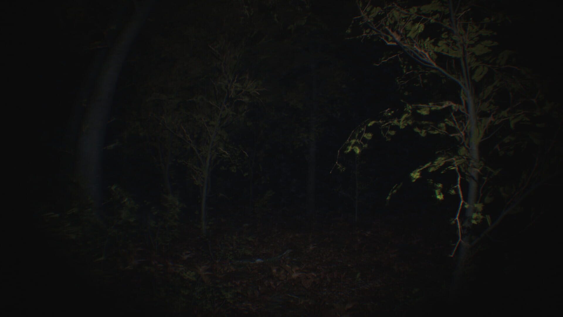 Screenshot for Paranormal Tales