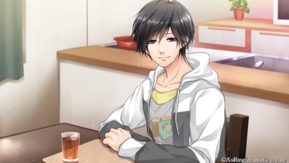 Screenshot for Enkan no Memo-ria: Kakera Tomoshi