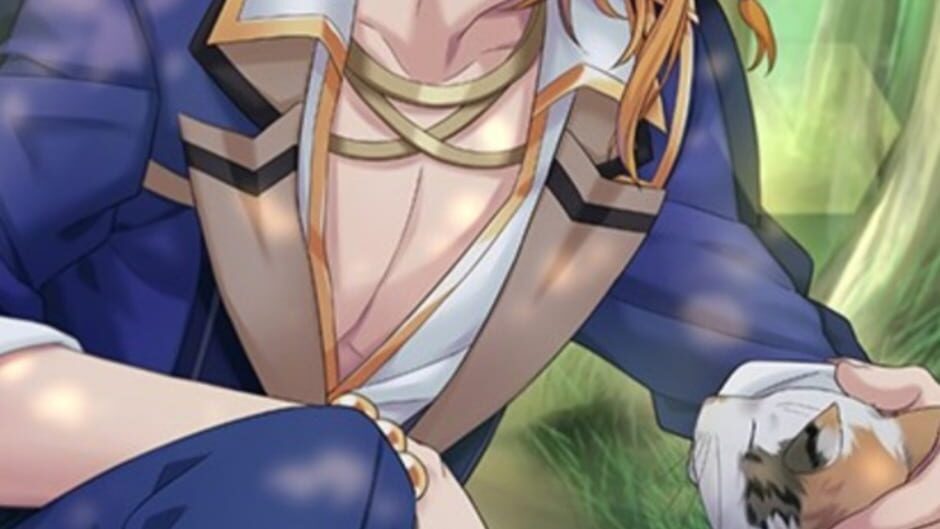 Screenshot for Shall we date?: Wizardess Heart