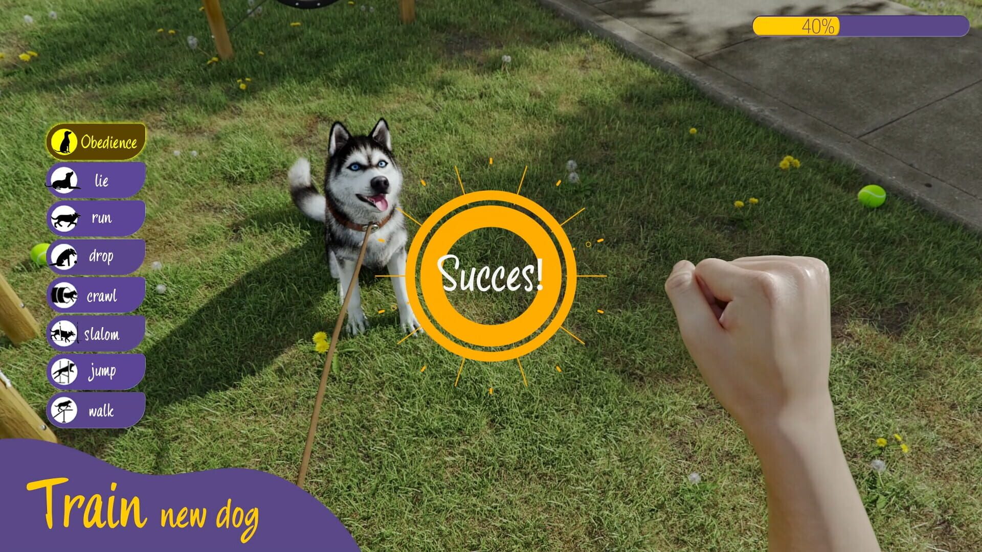 Screenshot for Animal Trainer Simulator