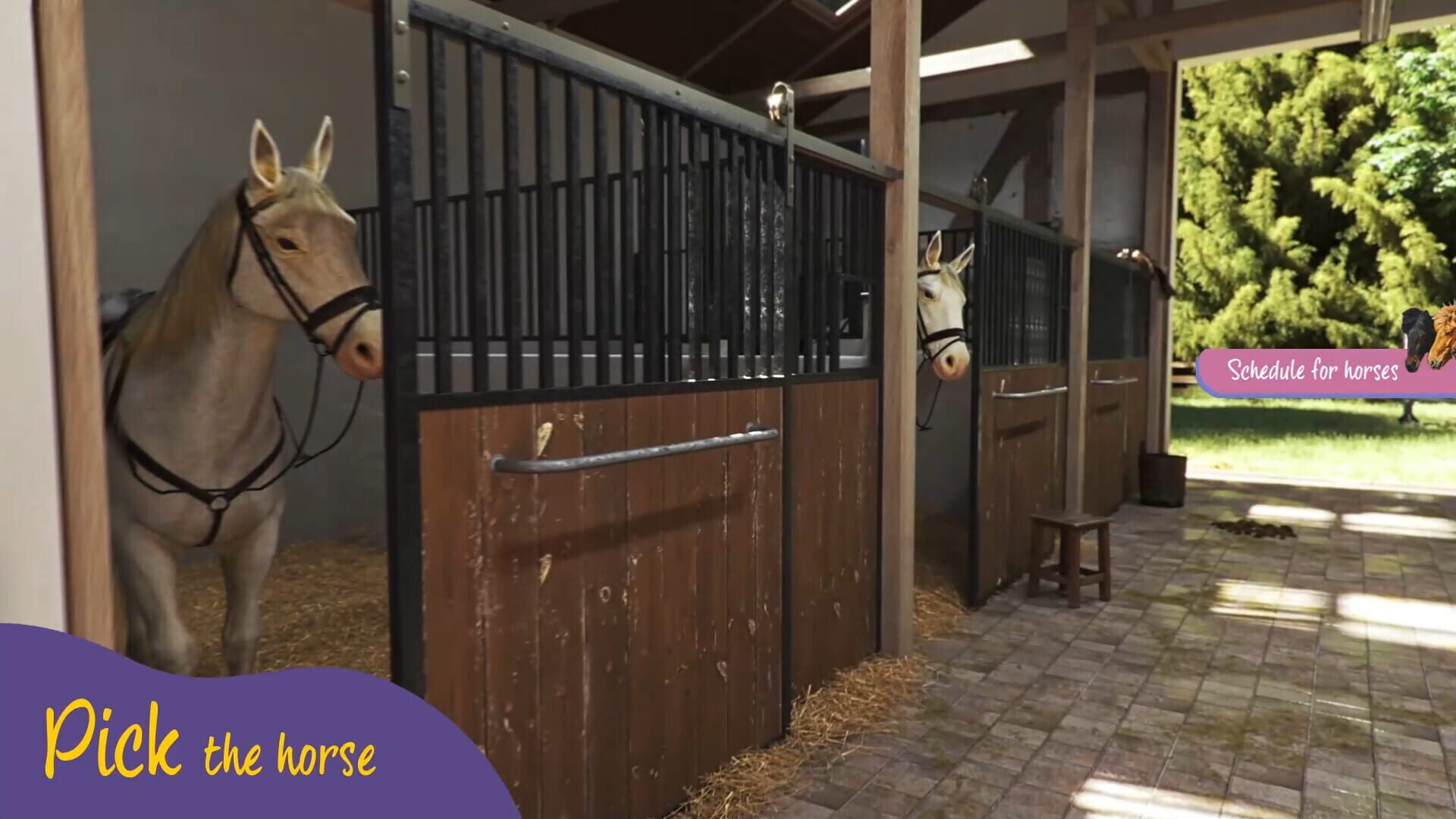 Screenshot for Animal Trainer Simulator