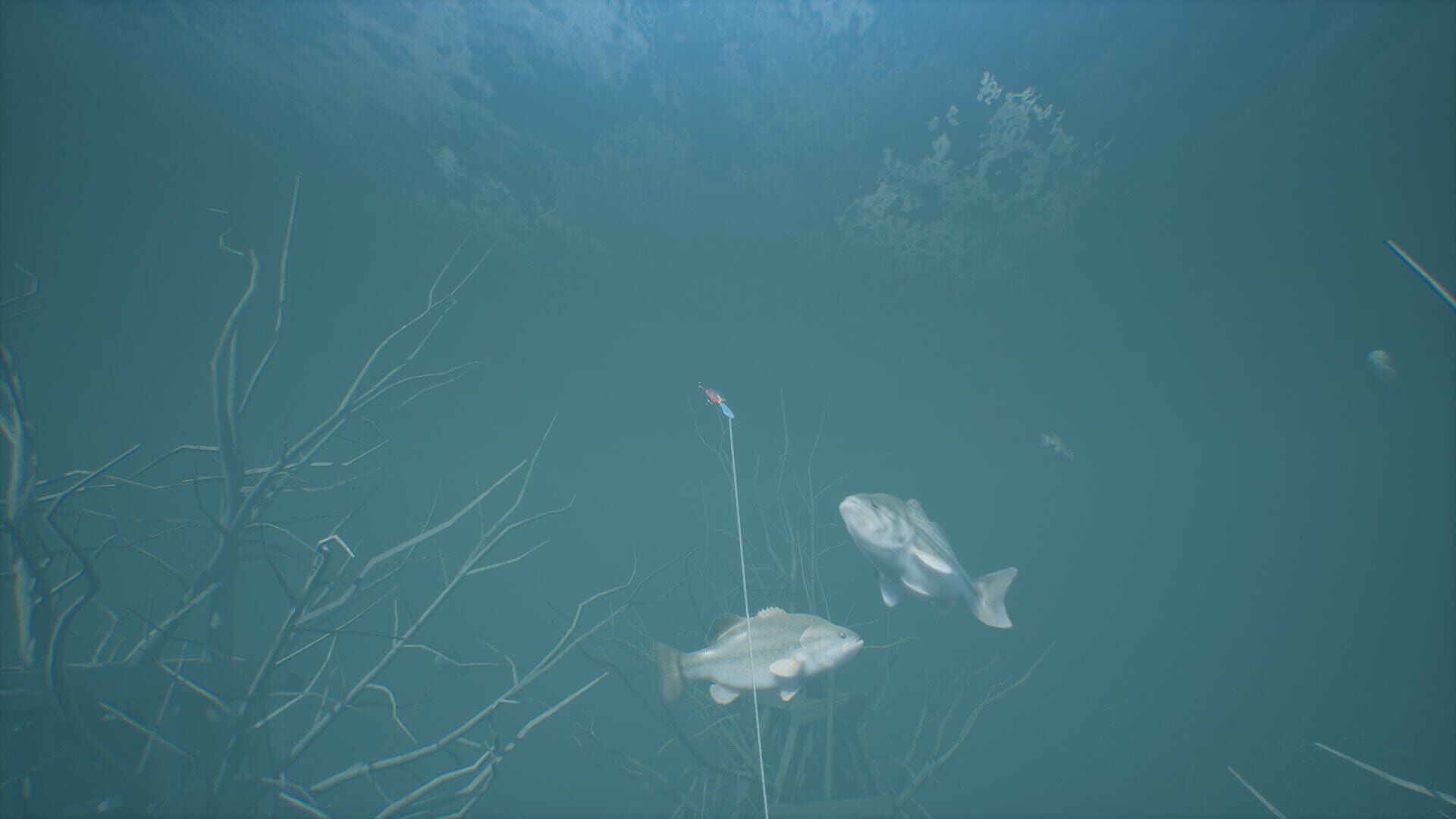 Screenshot for Bassmaster Fishing 2022