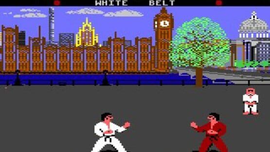 Screenshot for World Karate Championship