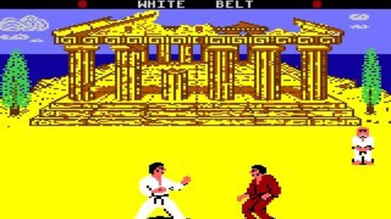 Screenshot for World Karate Championship