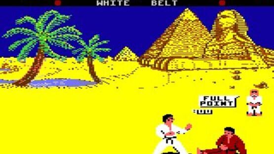 Screenshot for World Karate Championship