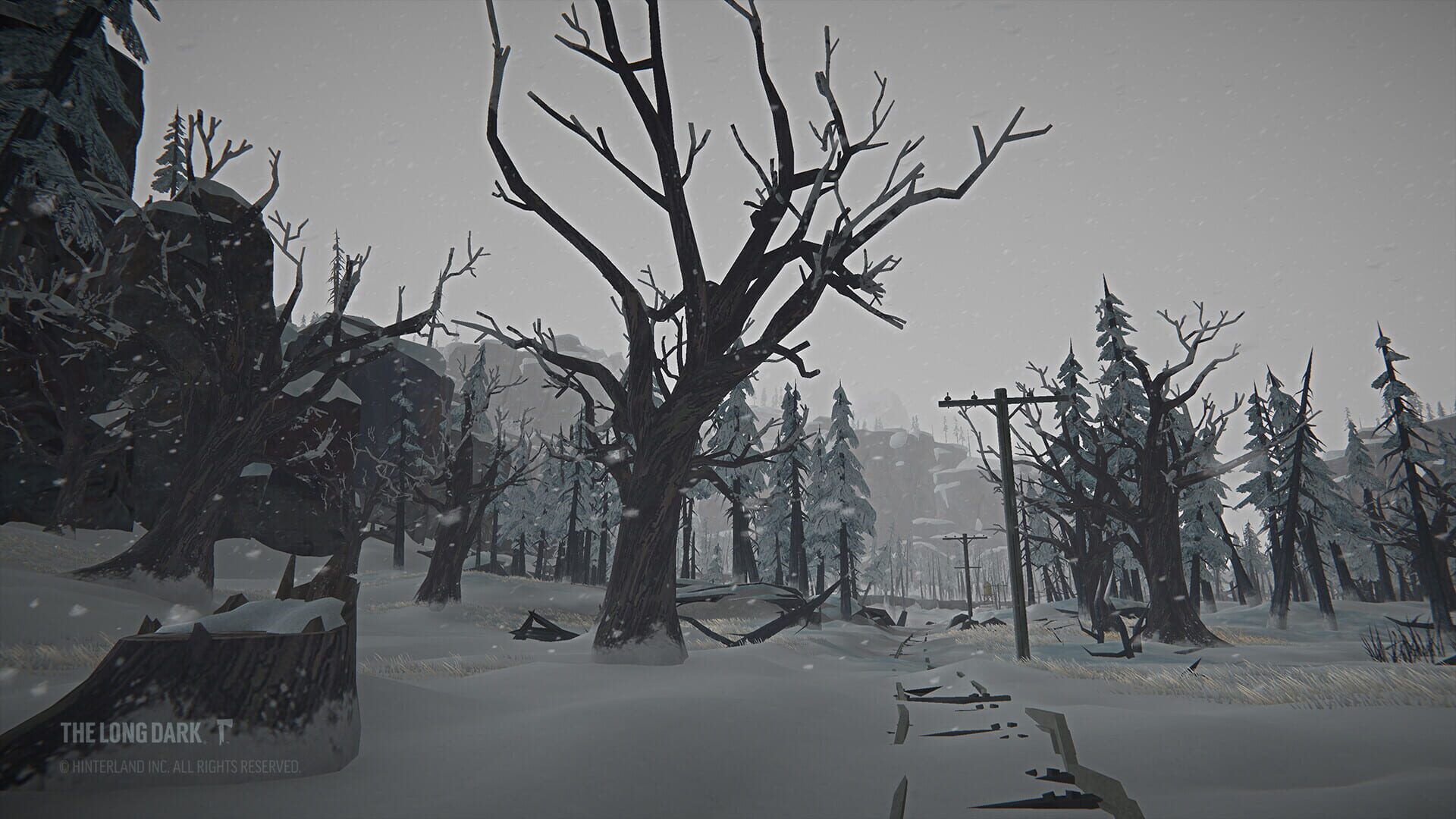 Screenshot for The Long Dark: Tales from the Far Territory