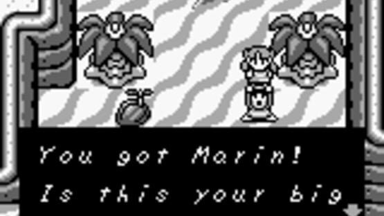 Screenshot for The Legend of Zelda: Link's Awakening