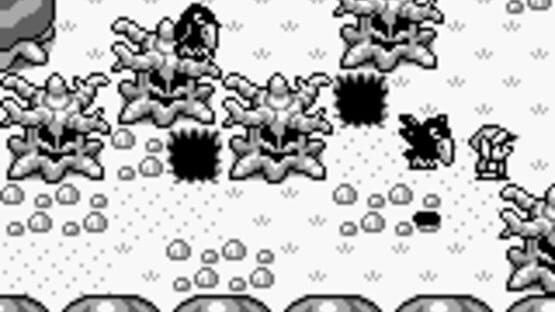 Screenshot for The Legend of Zelda: Link's Awakening